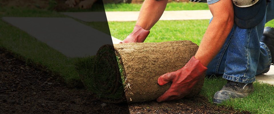 Flossmoor Landscapers